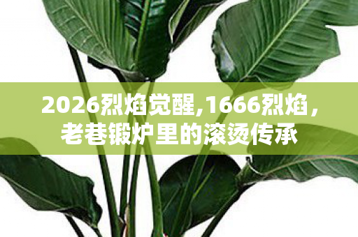 2026烈焰觉醒,1666烈焰,老巷锻炉里的滚烫传承 2026烈焰觉醒,1666烈焰,老巷锻炉里的滚烫传承