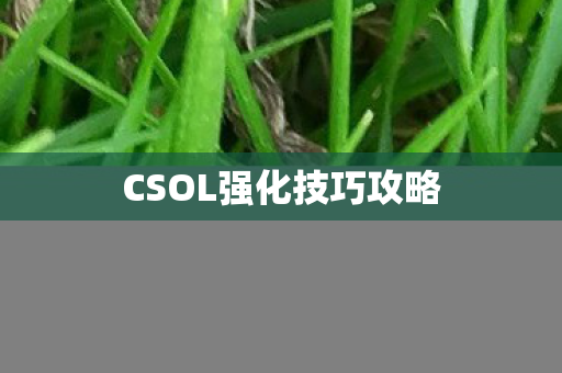 CSOL强化技巧攻略图片