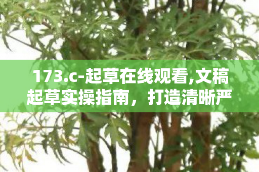 173.c-起草在线观看,文稿起草实操指南,打造清晰严谨的优质内容 173.c-起草在线观看,文稿起草实操指南,打造清晰严谨的优质内容