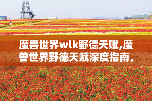 魔兽世界wlk野德天赋,魔兽世界野德天赋深度指南,适配多场景的灵活加点思路解析 魔兽世界wlk野德天赋,魔兽世界野德天赋深度指南,适配多场景的灵活加点思路解析