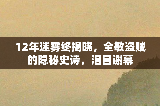 12年迷雾终揭晓,全敏盗贼的隐秘史诗,泪目谢幕 12年迷雾终揭晓,全敏盗贼的隐秘史诗,泪目谢幕
