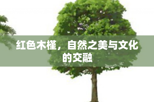 自然之美与文化的交融图片