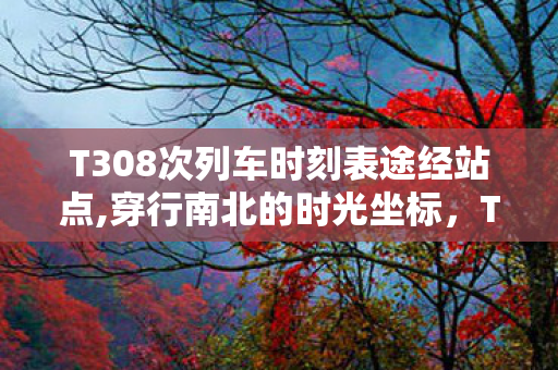 T308次列车时刻表途经站点,穿行南北的时光坐标,T108次列车时刻表背后的旅途温度 T308次列车时刻表途经站点,穿行南北的时光坐标,T108次列车时刻表背后的旅途温度