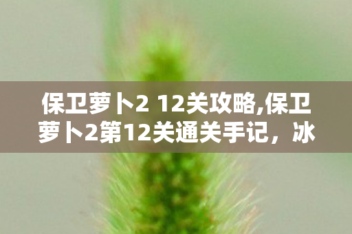 保卫萝卜2 12关攻略,保卫萝卜2第12关通关手记，冰川小关卡里藏着的新手成长密码