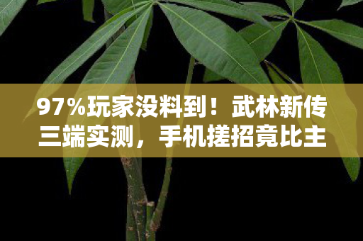 97%玩家没料到!武林新传三端实测,手机搓招竟比主机快0.3秒? 97%玩家没料到!武林新传三端实测,手机搓招竟比主机快0.3秒?