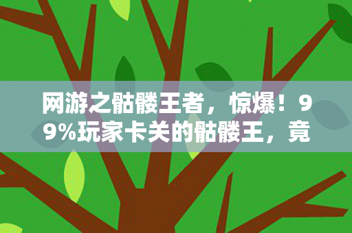 网游之骷髅王者,惊爆!99%玩家卡关的骷髅王,竟藏着逆天隐藏剧情? 网游之骷髅王者,惊爆!99%玩家卡关的骷髅王,竟藏着逆天隐藏剧情?