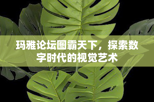 探索数字时代的视觉艺术图片