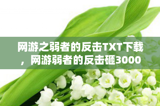 网游之弱者的反击TXT下载,网游弱者的反击砸3000万删玩法?会议室吵翻天真相吓一跳! 网游之弱者的反击TXT下载,网游弱者的反击砸3000万删玩法?会议室吵翻天真相吓一跳!