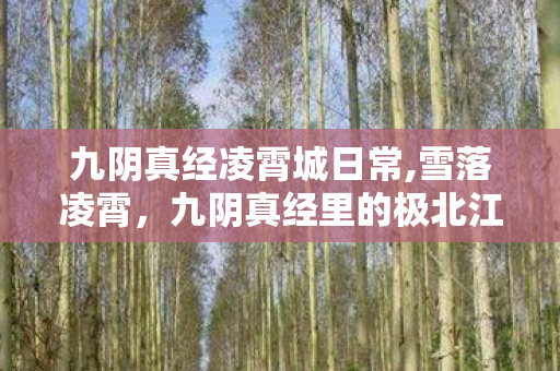 九阴真经凌霄城日常,雪落凌霄，九阴真经里的极北江湖留白