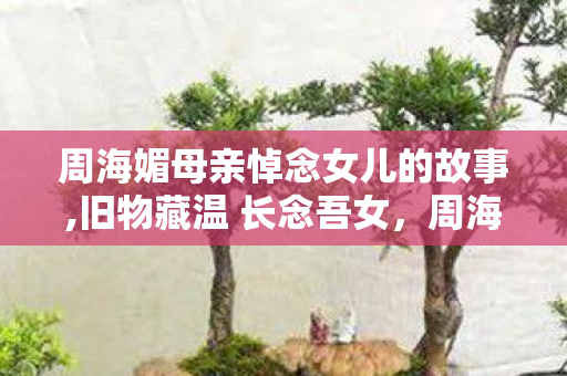 周海媚母亲悼念女儿的故事,旧物藏温 长念吾女,周海媚母亲的深切悼念 周海媚母亲悼念女儿的故事,旧物藏温 长念吾女,周海媚母亲的深切悼念