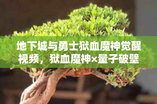 地下城与勇士狱血魔神觉醒视频，狱血魔神×量子破壁10888件衍生品引爆次元！我的钱包在2027年提前二次觉醒