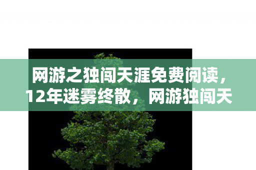 网游之独闯天涯免费阅读,12年迷雾终散,网游独闯天涯的江湖与归途,泪目谢幕 网游之独闯天涯免费阅读,12年迷雾终散,网游独闯天涯的江湖与归途,泪目谢幕