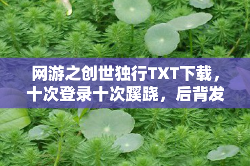 网游之创世独行TXT下载，十次登录十次蹊跷，后背发凉的十年逃亡真相