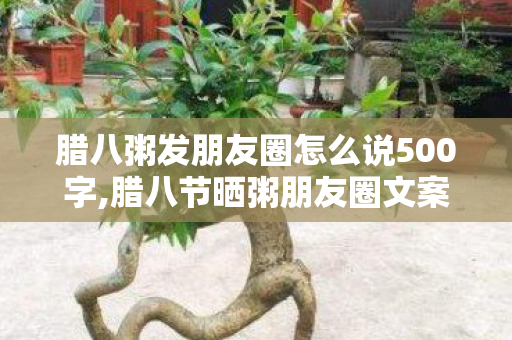 腊八粥发朋友圈怎么说500字,腊八节晒粥朋友圈文案指南,把烟火气揉进日常分享里 腊八粥发朋友圈怎么说500字,腊八节晒粥朋友圈文案指南,把烟火气揉进日常分享里