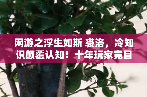 网游之浮生如斯 裘洛，冷知识颠覆认知！十年玩家竟目瞪口呆，新手教程从未通关？