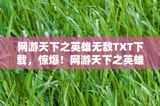 网游天下之英雄无敌TXT下载,惊爆!网游天下之英雄无敌99%玩家不知的隐藏剧情大揭秘! 网游天下之英雄无敌TXT下载,惊爆!网游天下之英雄无敌99%玩家不知的隐藏剧情大揭秘!