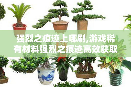 强烈之痕迹上哪刷,游戏稀有材料强烈之痕迹高效获取实用指南