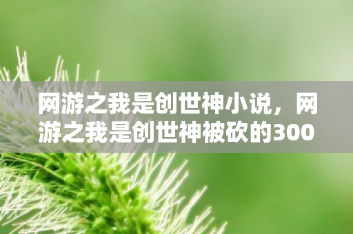 网游之我是创世神小说,网游之我是创世神被砍的3000万玩法!会议室吵翻天,真相让人吓一跳! 网游之我是创世神小说,网游之我是创世神被砍的3000万玩法!会议室吵翻天,真相让人吓一跳!