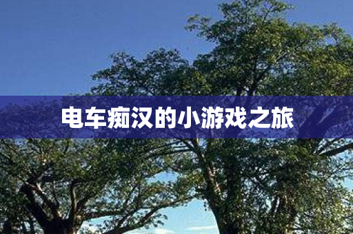 电车痴汉的小游戏之旅图片