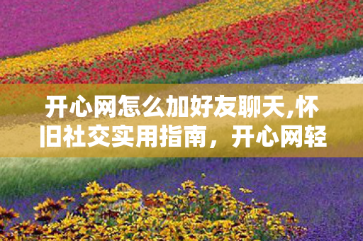 开心网怎么加好友聊天,怀旧社交实用指南，开心网轻松加好友全攻略
