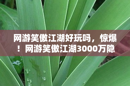 网游笑傲江湖好玩吗，惊爆！网游笑傲江湖3000万隐情曝光，真相让人吓一跳！