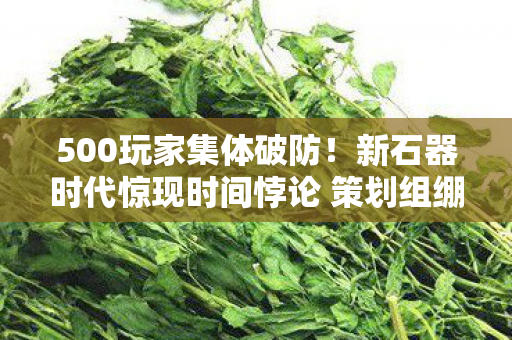500玩家集体破防!新石器时代惊现时间悖论 策划组绷不住了 500玩家集体破防!新石器时代惊现时间悖论 策划组绷不住了