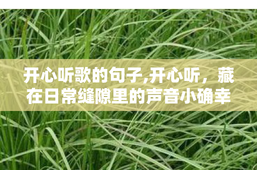 开心听歌的句子,开心听,藏在日常缝隙里的声音小确幸 开心听歌的句子,开心听,藏在日常缝隙里的声音小确幸