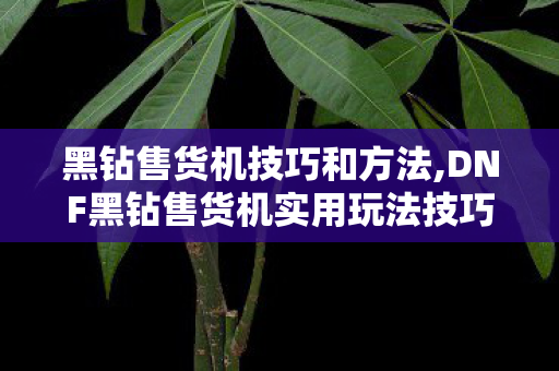 黑钻售货机技巧和方法,DNF黑钻售货机实用玩法技巧,提升心仪道具获取概率的经验分享 黑钻售货机技巧和方法,DNF黑钻售货机实用玩法技巧,提升心仪道具获取概率的经验分享