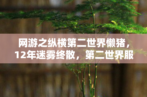网游之纵横第二世界懒猪,12年迷雾终散,第二世界服务器关闭前72小时的泪目真相 网游之纵横第二世界懒猪,12年迷雾终散,第二世界服务器关闭前72小时的泪目真相