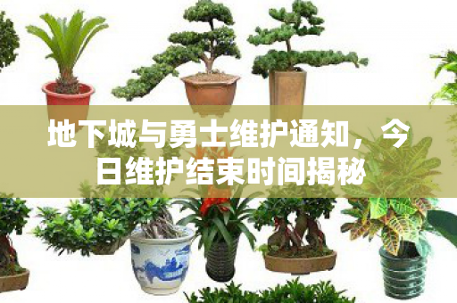 地下城与勇士维护通知图片