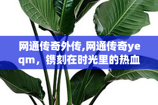 网通传奇外传,网通传奇yeqm，镌刻在时光里的热血旧梦
