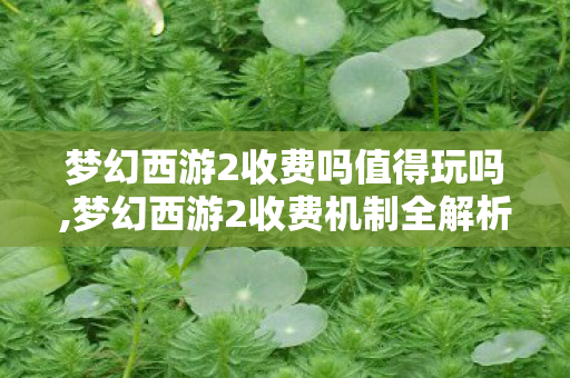梦幻西游2收费吗值得玩吗,梦幻西游2收费机制全解析,新手玩家必看的游玩消费指南 梦幻西游2收费吗值得玩吗,梦幻西游2收费机制全解析,新手玩家必看的游玩消费指南