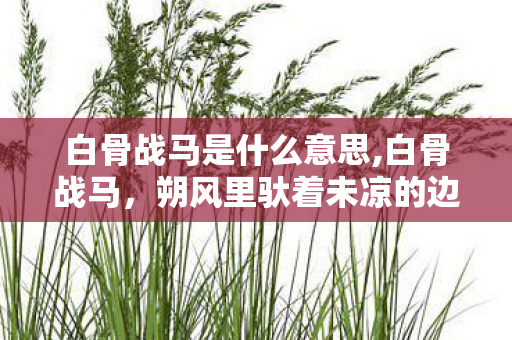 白骨战马是什么意思,白骨战马,朔风里驮着未凉的边关月 白骨战马是什么意思,白骨战马,朔风里驮着未凉的边关月