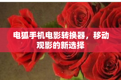 电狐手机电影转换器图片