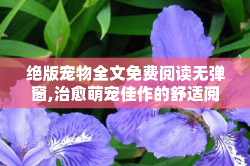 绝版宠物全文免费阅读无弹窗,治愈萌宠佳作的舒适阅读体验指南