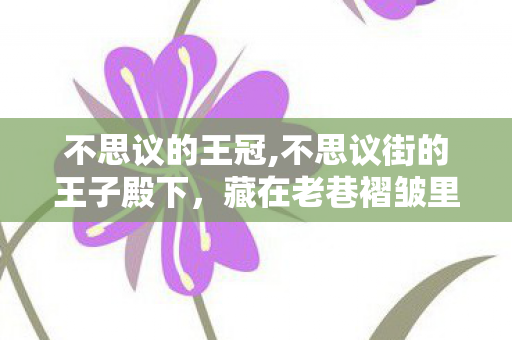 不思议的王冠,不思议街的王子殿下,藏在老巷褶皱里的星光童话 不思议的王冠,不思议街的王子殿下,藏在老巷褶皱里的星光童话