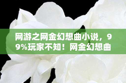 网游之网金幻想曲小说，99%玩家不知！网金幻想曲隐藏机制竟让菜鸟7天变战神？