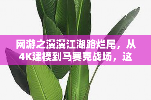 网游之漫漫江湖路烂尾,从4K建模到马赛克战场,这落差真相让我笑着骂策划,哭着充月卡 网游之漫漫江湖路烂尾,从4K建模到马赛克战场,这落差真相让我笑着骂策划,哭着充月卡