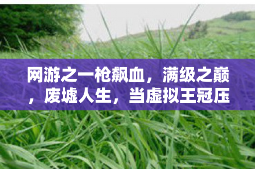 网游之一枪飙血,满级之巅,废墟人生,当虚拟王冠压垮现实脊梁 网游之一枪飙血,满级之巅,废墟人生,当虚拟王冠压垮现实脊梁