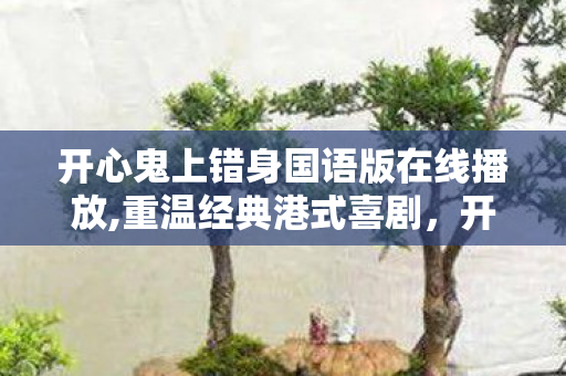 开心鬼上错身国语版在线播放,重温经典港式喜剧，开心鬼上错身国语版的暖心魅力