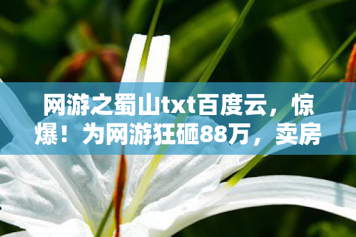 网游之蜀山txt百度云,惊爆!为网游狂砸88万,卖房充值背后竟藏离婚隐情,吓一跳! 网游之蜀山txt百度云,惊爆!为网游狂砸88万,卖房充值背后竟藏离婚隐情,吓一跳!