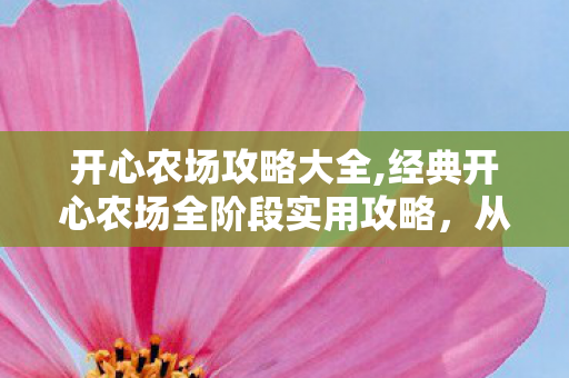 开心农场攻略大全,经典开心农场全阶段实用攻略,从新手小白到种养达人的进阶指南 开心农场攻略大全,经典开心农场全阶段实用攻略,从新手小白到种养达人的进阶指南