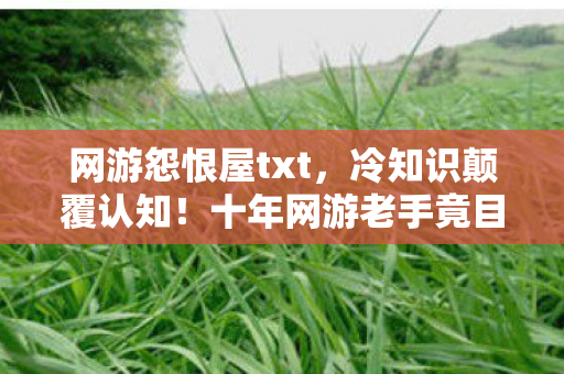 网游怨恨屋txt，冷知识颠覆认知！十年网游老手竟目瞪口呆，新手教程都没懂？