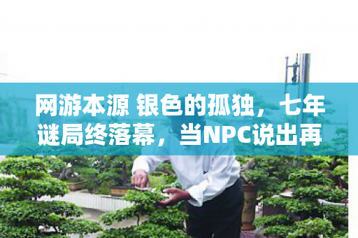 网游本源 银色的孤独,七年谜局终落幕,当NPC说出再见时,全服泪目 网游本源 银色的孤独,七年谜局终落幕,当NPC说出再见时,全服泪目