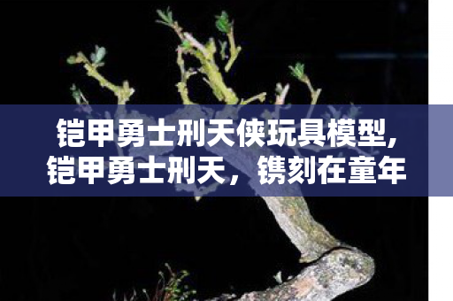 铠甲勇士刑天侠玩具模型,铠甲勇士刑天，镌刻在童年热血记忆里的光之印记