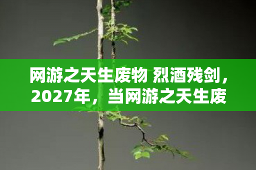网游之天生废物 烈酒残剑，2027年，当网游之天生废物2的星光暗去，伏笔成殇，鼻子一酸忆往昔