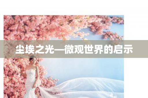 微观世界的启示图片