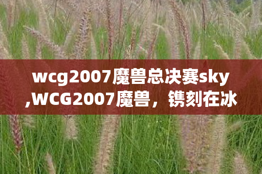 wcg2007魔兽总决赛sky,WCG2007魔兽,镌刻在冰封王座上的青春印记 wcg2007魔兽总决赛sky,WCG2007魔兽,镌刻在冰封王座上的青春印记