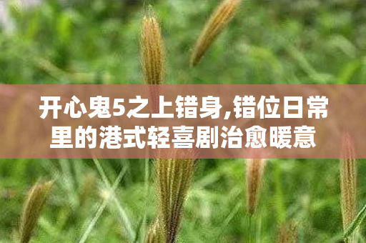 开心鬼5之上错身,错位日常里的港式轻喜剧治愈暖意 开心鬼5之上错身,错位日常里的港式轻喜剧治愈暖意