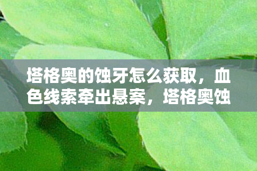 塔格奥的蚀牙怎么获取，血色线索牵出悬案，塔格奥蚀牙背后，毛骨悚然的死亡循环